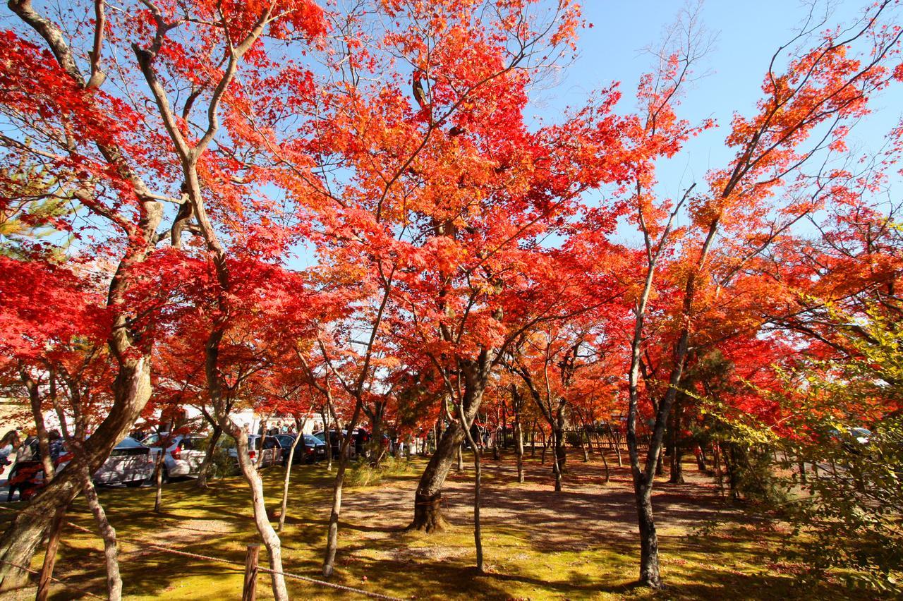 一棟貸切り宿 Guesthouse 嵯峨嵐山 Kyoto Eksteriør bilde